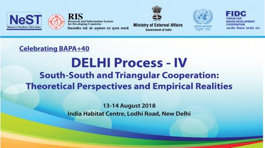 Delhi Process IV South-South Triangular Cooperation